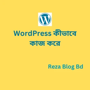 WordPress-কীভাবে কাজ করে