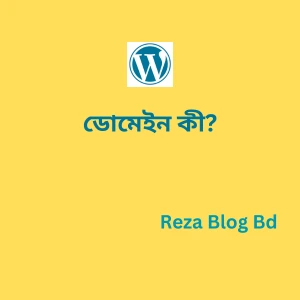 ডোমেইন কী উপসংহার